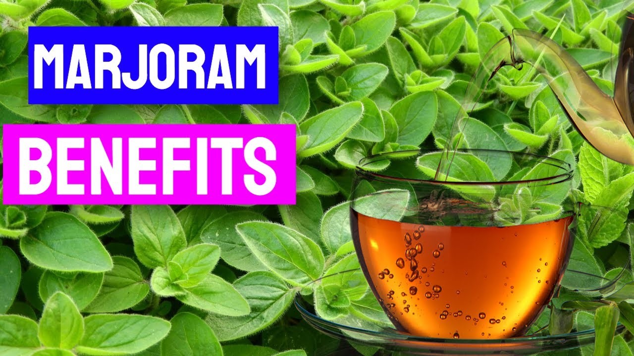 Benefits of Marjoram Oil